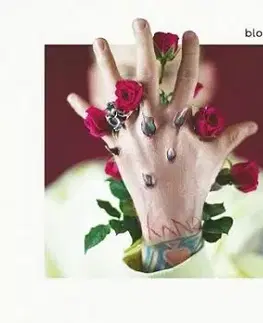 Machine Gun Kelly - Bloom CD - Machine Gun Kelly