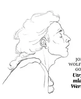 Utrpenie mladého Werthera - audiokniha CD - Johann Wolfgang von Goethe