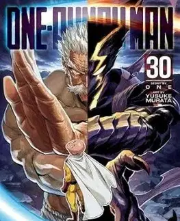 One-Punch Man, Vol. 30 - ONE