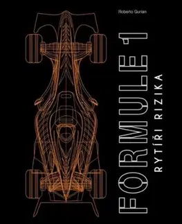 Formule 1: Rytíři rizika - Roberto Gurian