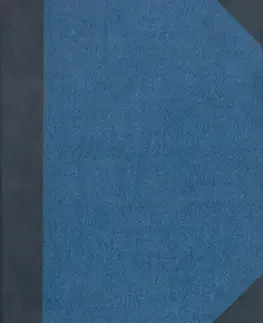 Kúpeľný hosť - Hermann Hesse