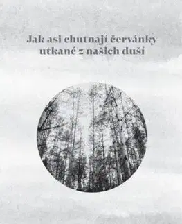Jak asi chutnají červánky utkané z našich duší - Karolína Petrželová