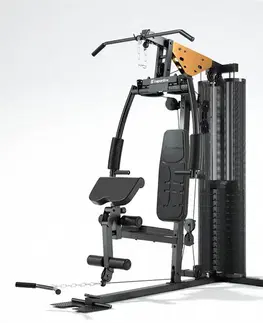 inSPORTline ProfiGym C45