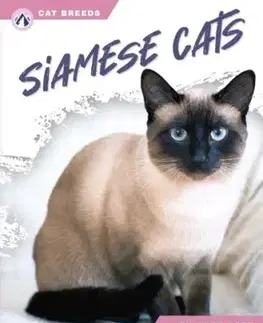 Siamese Cats - Abby Doty