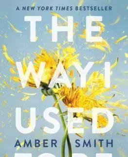 The Way I Used to Be - Amber Smith