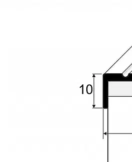 Schodový profil 25 x 10 mm (skrutkovací) Zlato E00
