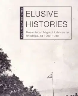 Elusive Histories - Allen F. Isaacman, Joy M. Chadya, Barbara S. Isaacman