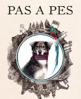 Pas a pes - Jakub Kynčl