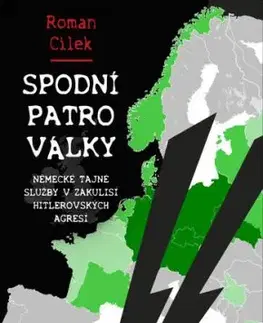 Spodní patro války (Německé tajné služby v zákulisí hitlerovských agresí) - Roman Cílek