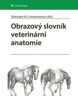 Obrazový slovník veterinární anatomie - Gheorghe M. Constantinescu