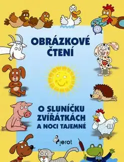 Obrázkové čtení - Alena Schejbalová