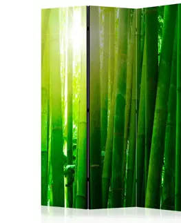 Paraván Sun and bamboo Dekorhome