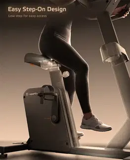 inSPORTline e-Velocer UB