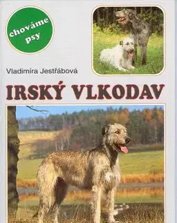 Irský vlkodav - Vladimíra Jestřábová