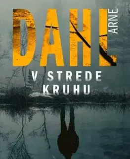 V strede kruhu - Arne Dahl