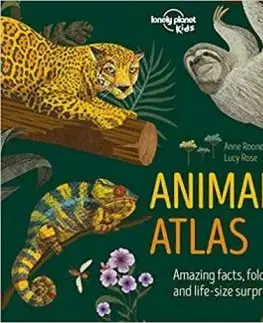 Animal Atlas 1 - Anne Rooney