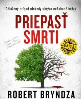 Priepasť smrti (Kate Marshall 3) - Robert Bryndza