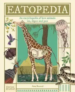 Eatopedia - Aina Bestard