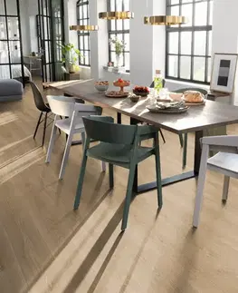 EGGER E-motion aqua plus Dub treviso prírodný EL2181