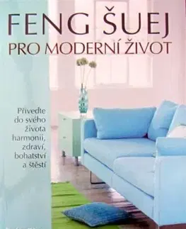 Feng Šuej pro moderní život - Stehpen Skinner