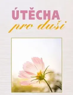 Útěcha pro duši - Bruno Ferrero