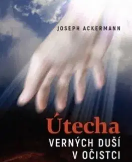 Útecha verných duší v očistci - Joseph Ackermann
