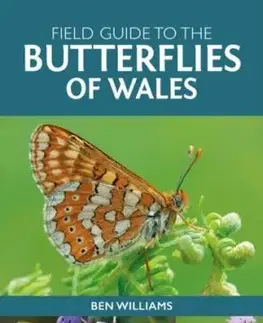 Field Guide to the Butterflies of Wales - Ben Williams