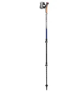 Leki Traveller Carbon 2023