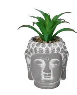 Dekoria Dekorácie Aloe Buddha 17cm, 10 x 10 0x 17 cm