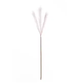 Dekoria Pampová tráva 100cm light pink, 2 x 2 x 100 cm