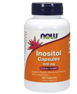 NOW Foods Inositol 500 mg