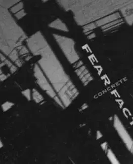 Fear Factory - Concrete LP - Factory Fear