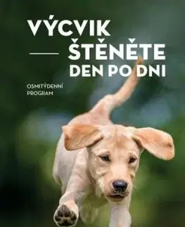 Výcvik štěněte den po dni, 2. vydání - Mel Koringová, Lea Smrčková