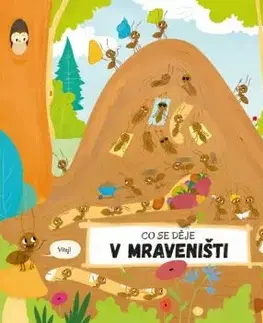 Čo sa deje v mravenisku - Petra Bartíková, Nguyenová Ľuba Anhová
