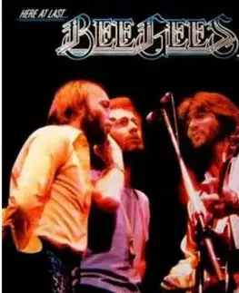 Bee Gees - Here At Last... Live 2LP - Gees Bee