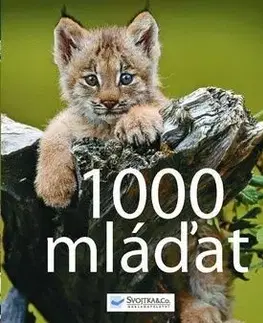 1000 mláďat