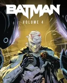 Batman Vol. 4: Dark Prisons - Chip Zdarksy