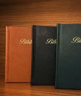 Biblia Tranoscius 2024 so zlatou oriezkou a ozdobným písmom v ekokoži (Hnedá)