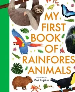 My First Book of Rainforest Animals