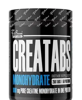 Creatabs Monohydrate - FitBoom 250 tbl.