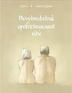Nevyhnutelná opotřebovanost citů - Aimée de Jongh