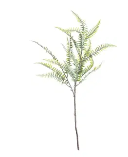 Dekoria Papraď na vetvičke 60cm, 10 x 10 x 60 cm