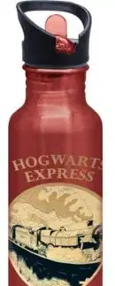 Hliníková fľaša vegas Harry Potter - Golden Magic 815 ml