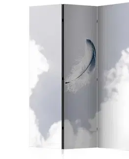 Paraván Angelic Feather Dekorhome