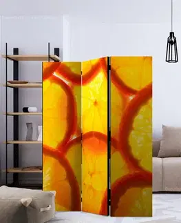Paraván Orange slices Dekorhome