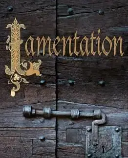Lamentation - C. J. Sansom