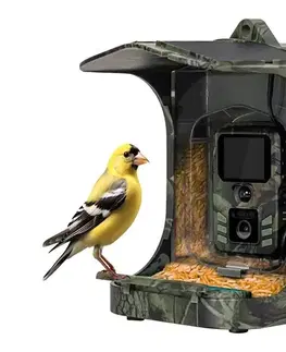 Evolveo - StrongVision BirdFeeder - inteligentné kŕmidlo pre vtáky s kamerou CAM-BF