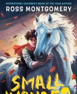 Small Wonder - Ross Montgomery