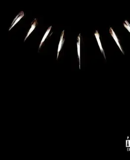 Soundtrack - Black Panther: The Album 2LP