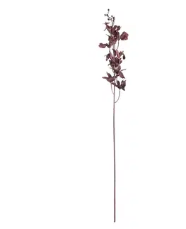 Dekoria Orchidea 100cm dark plum, 10 x 10 x 100 cm